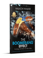 The Boomerang Effect: The Boomerang Effect: The Strategy That Shatters Your Glass Ceiling