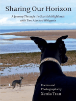 Sharing our Horizon: A Journey Through the Scottish Highlands with Two Adopted Whippets