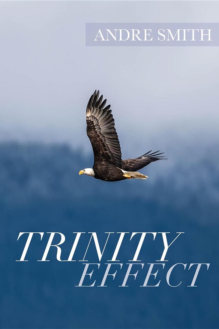 Trinity Effect by Andre Smith (Ebook) - Read free for 30 days