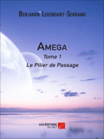 Amega: Tome 1 : Le Pilier de Passage