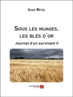 Sous les nuages, les blés d'or: Journal d’un survivant II