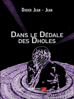 Dans le Dédale des Dholes