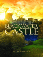 Blackwater Castle