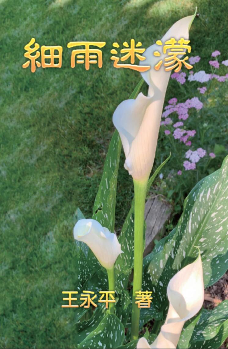 Misty Drizzle by Charles Y. Wang, 王永平- Ebook | Scribd