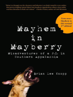 Mayhem in Mayberry