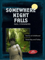 Somewhere Night Falls