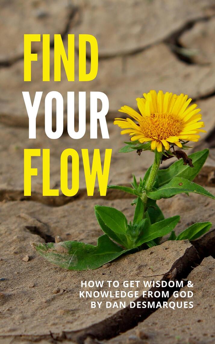 Find Your Flow by Dan Desmarques - Ebook | Everand