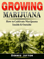 Growing Marijuana: How to Cultivate Marijuana Inside & Outside