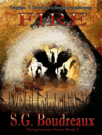 FIRE Book 3: Peregrination Series