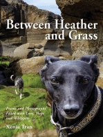 Between Heather and Grass