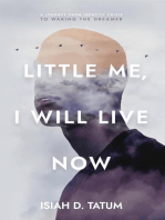 Little Me, I Will Live Now: A Journey From Identity Crisis to Waking the Dreamer