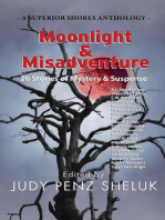 Moonlight & Misadventure: 20 Stories of Mystery & Suspense: A Superior Shores Anthology, #3