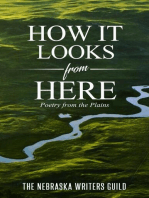 How It Looks from Here: Poetry from the Plains