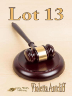 Lot 13