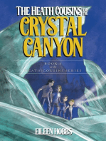 The Heath Cousins and the Crystal Canyon: Book 3 in the Heath Cousins Series