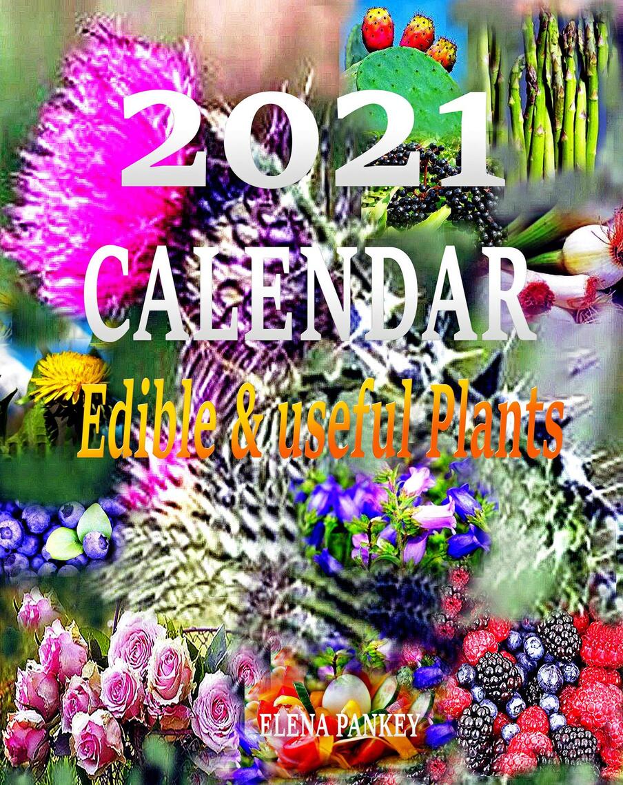 Calendar 2021 by Elena Pankey, Elena Bulat