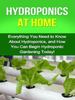 Hydroponics at Home