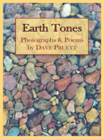 Earth Tones