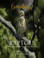 Enraptured by Raptors: The story of a hawk family that captured the heart of a community