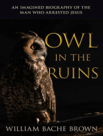 Owl in the Ruins: An Imagined Biography of the Man Who Arrested Jesus