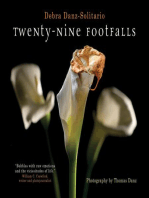 Twenty-Nine Footfalls