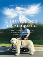 A Service Dog Named Paige