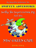 Swifty The Super Guinea Pig And His New Green Cape