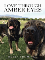 Love Through Amber Eyes