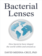 Bacterial Lenses