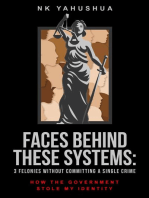 Faces Behind These Systems: 3 Felonies without Committing A Single Crime, How The Government Stole My Identity