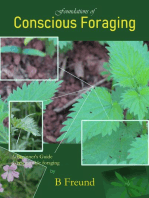 Foundations of Conscious Foraging