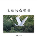 飞翔的白鹭鸶（简体中文版）: The Flying Egret (Simplified Chinese Edition)