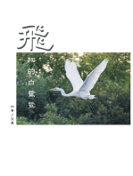 The Flying Egret: 飛翔的白鷺鷥