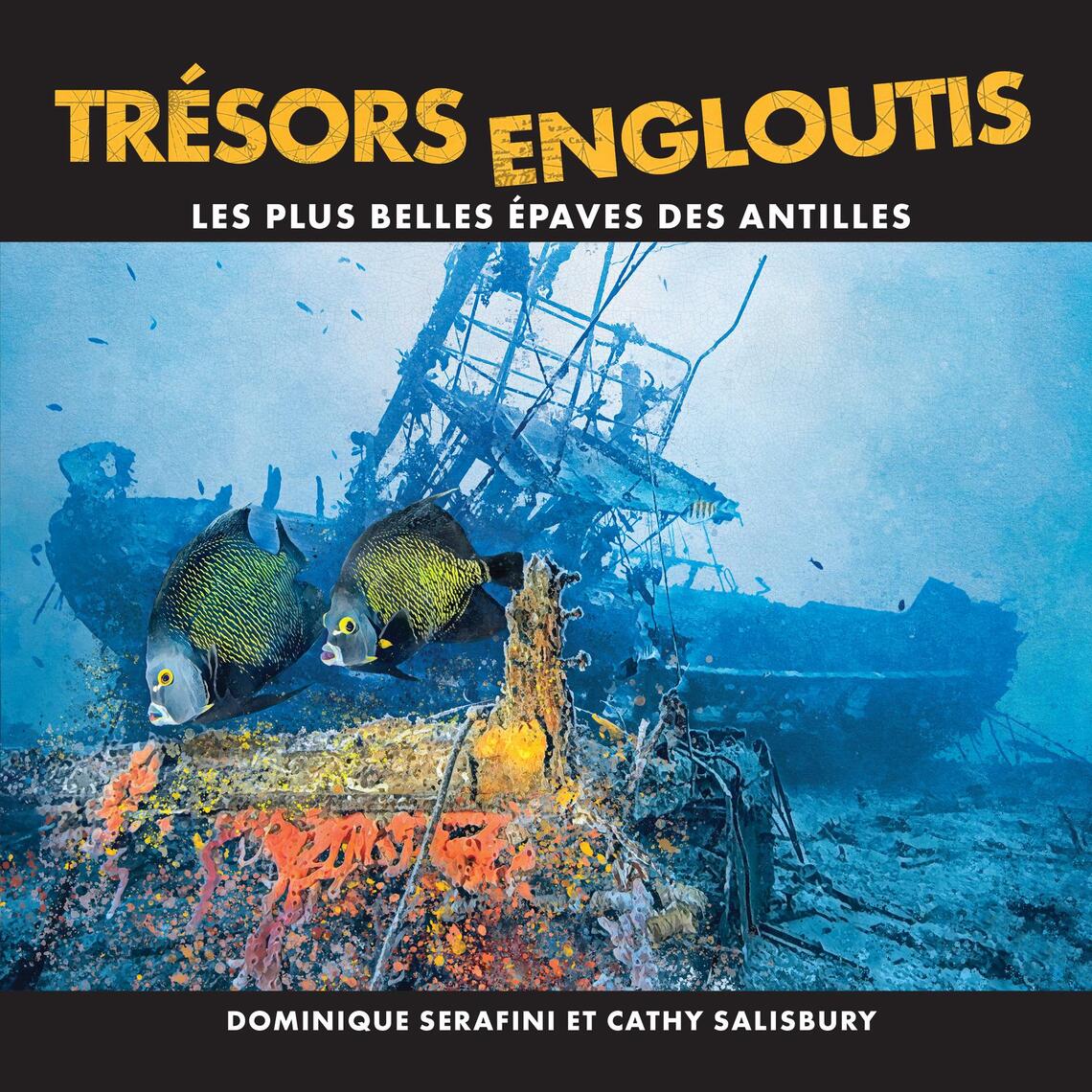 Trésors Engloutis de Dominique Serafini, Cathy Salisbury (Livre