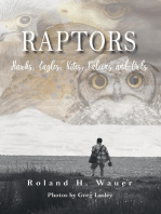 Raptors: Hawks, Eagles, Kites Falcons and Owls