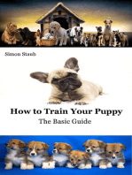 How to Train Your Puppy