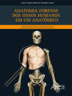 Anatomia Forense dos Ossos Humanos em um Anatômico