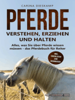 Pferde verstehen, erziehen und halten: Alles, was Sie über Pferde wissen müssen - das Pferdebuch für Reiter (inkl. Checklisten zum Ausdrucken)