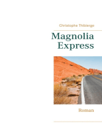 Magnolia Express: Roman