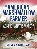 The American Marshmallow Farmer: Asking, What is Water