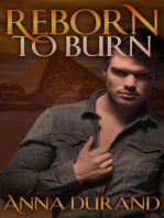 Reborn to Burn: Reborn, #2