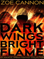 Dark Wings, Bright Flame