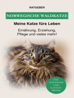 Norwegische Waldkatze: Ernährung, Erziehung, Pflege und vieles mehr über die Waldkatze! 