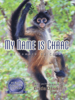 My Name is Chaac