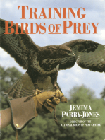 Training Birds of Prey