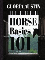 Horse Basics 101