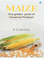 Maize - Golden Grain of Himachal Pradesh