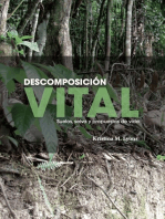Descomposición vital: Suelos, selva y propuestas de vida