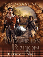 Wizard's Potion: The Celtic Fey, #5