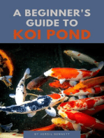 A Beginner's Guide To Koi Ponds